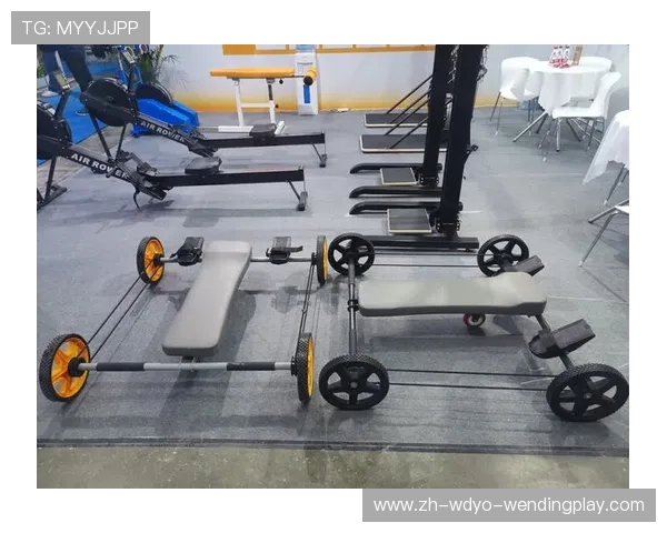 广西商用健身器材市场分析及品牌竞争力对比