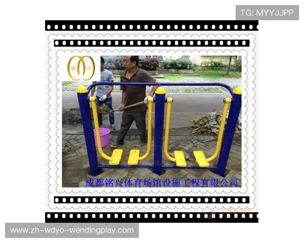 健身器材的主要作用与不同类型锻炼效果对比 健身器材的主要作用与不同类型锻炼效果对比