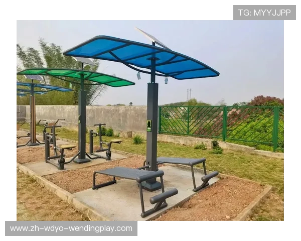 智能健身器材真的有用吗?多维数据分析与用户反馈 智能健身器材真的有用吗?多维数据分析与用户反馈