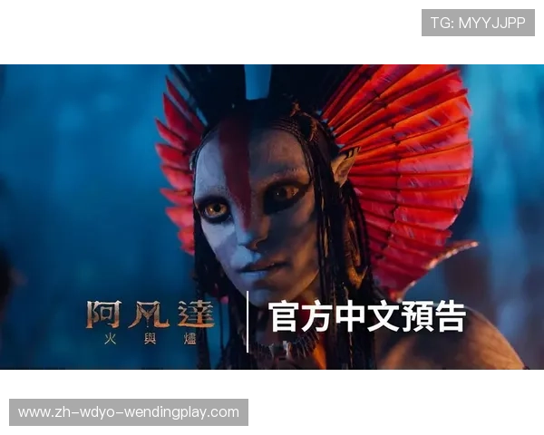 并非偶然卡梅隆-杨如何通过调整期待实现职业突破 并非偶然卡梅隆-杨如何通过调整期待实现职业突破